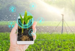 Grow smartly – get fed by Tech